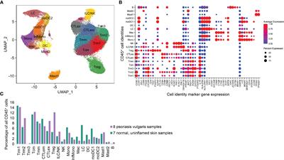 Defining Patient-Level Molecular Heterogeneity in Psoriasis Vulgaris Based on Single-Cell Transcriptomics